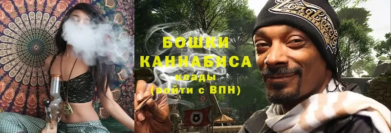 Конопля OG Kush  blacksprut маркетплейс  Пушкино  цена наркотик 